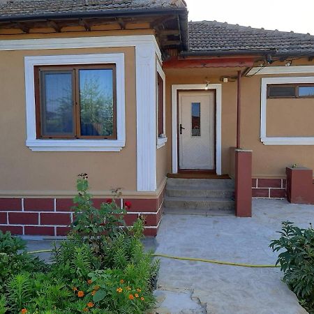 Къща За Гости Релакс Tsarichino Εξωτερικό φωτογραφία